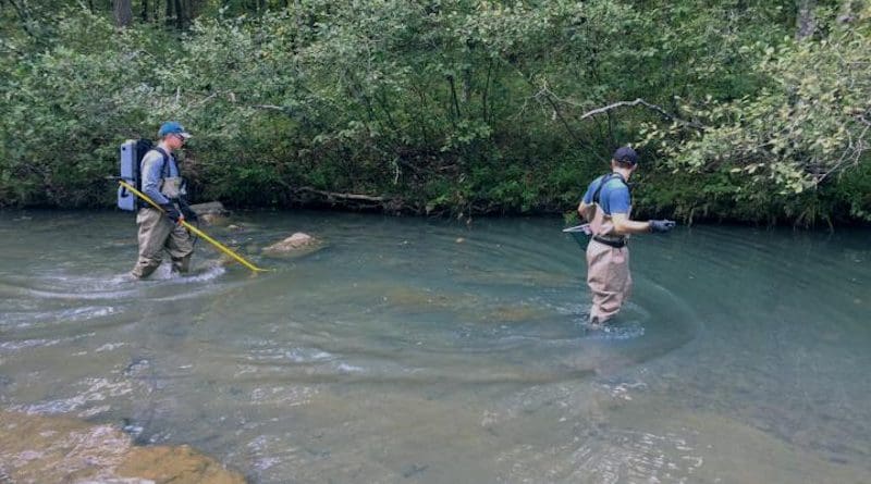 Researchers collected over 800 fin samples from smallmouth bass at 43 different sites in the Central Interior Highlands and analyzed the samples for genetic diversity. CREDIT: University of Missouri