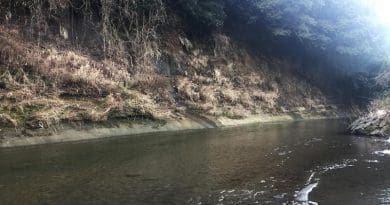 Yoro River section, one of Chiba composite section. It is the upper part of the stratum. CREDIT: NIPR/AIST/Ibaraki University
