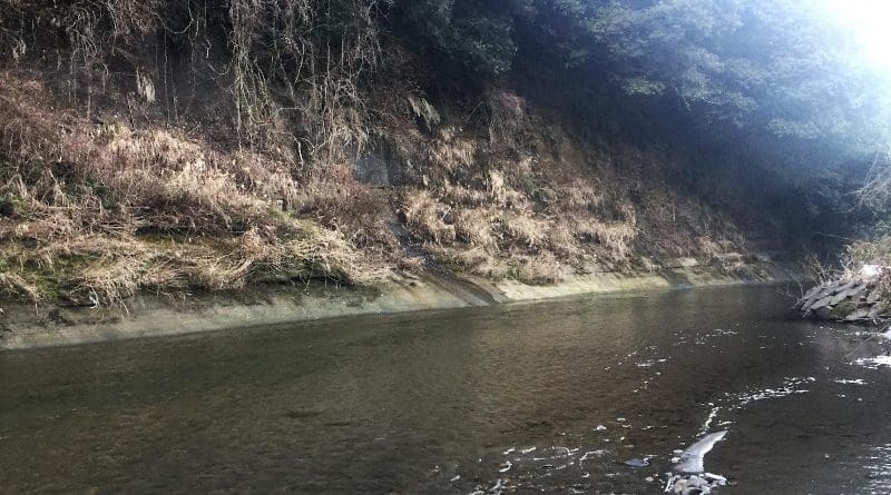 Yoro River section, one of Chiba composite section. It is the upper part of the stratum. CREDIT: NIPR/AIST/Ibaraki University