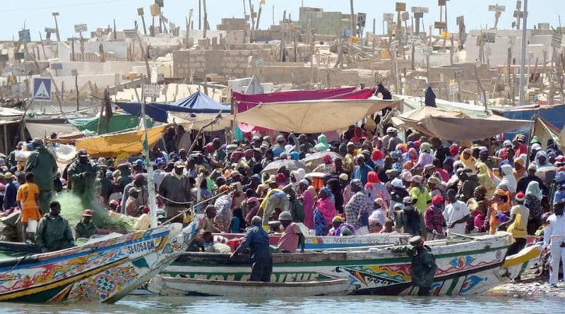 Senegal St Louis Market Fish Crowd Color Power