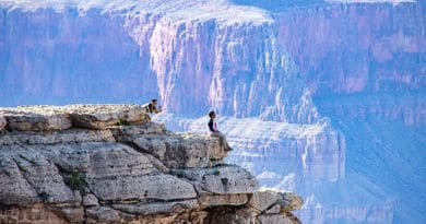 nature selfie Grand Canyon Places Of Interest America Arizona Usa