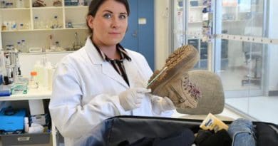 Flinders University forensic DNA technology research associate Dr Jennifer Young CREDIT: Flinders University