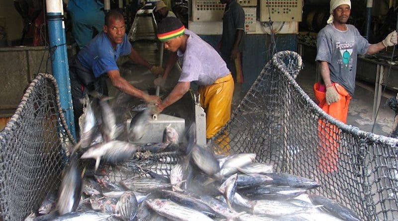Fish catch being processed in Seychelles. Photo Credit: Joe Laurence, Seychelles News Agency