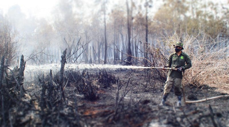 Forest fire in Sebangau. Credit Borneo Nature Foundation, Suzanne Turnock