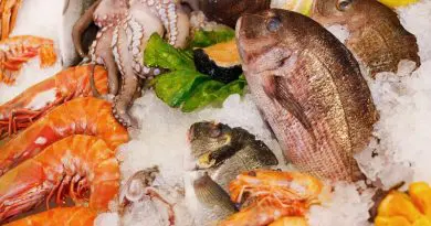 market Seafood Food Healthy Sea Fresh Fish Restaurant