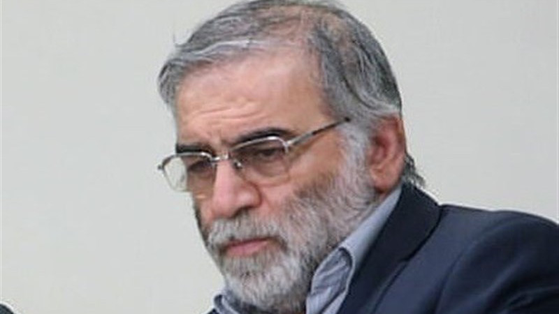 Iranian nuclear scientist Mohsen Fakhrizadeh. Photo Credit: Tasnim News Agency