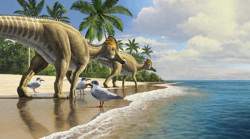 Duckbill dinosaurs evolved in north America, spreading to South America, Asia, Europe, and finally Africa CREDIT: Credit: Raul Martin
