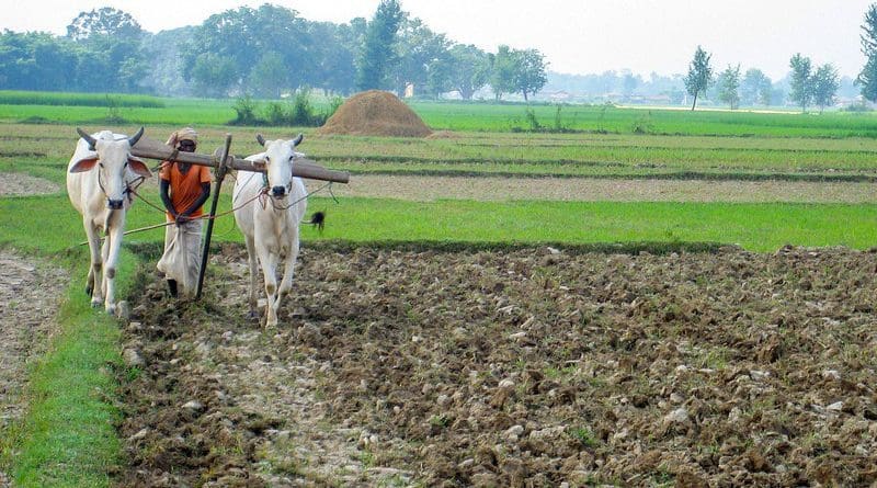 farmer farming agriculture nepal