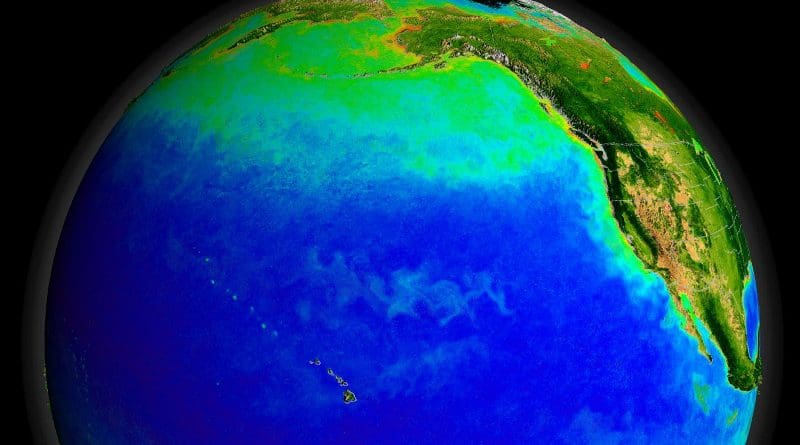 The Pacific Ocean's currents support a diverse ecosystem, seen here from space with green indicating blooms of photosynthesizing plankton. Warmer currents during the ice age may also have supported early human settlements. CREDIT NASA/Goddard Space Flight Center, The SeaWiFS Project and GeoEye, Scientific Visualization Studio