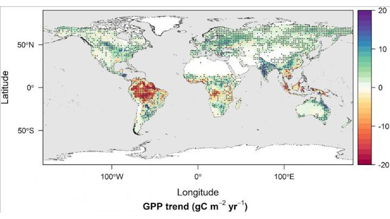 A map of the world shows the changes in global gross primary productivity (GPP), an indicator of carbon uptake, from 1982-2016. Each dot indicates a region with a statistically significant trend. CREDIT Credits: NASA/Nima Madani