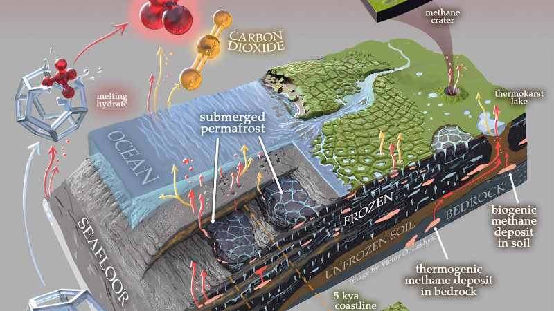 Artistic diagram of the subsea and coastal permafrost ecosystems, emphasizing greenhouse gas production and release. CREDIT: Original artwork created for this study by Victor Oleg Leshyk at Northern Arizona University.