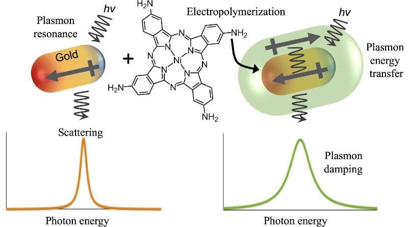 Rice University scientists coupled gold nanoparticles with soft polymers that pull energy from the gold's plasmonic response to light. That energy can then be used to potentially catalyze chemical reactions. CREDIT Emily Searles/Rice University