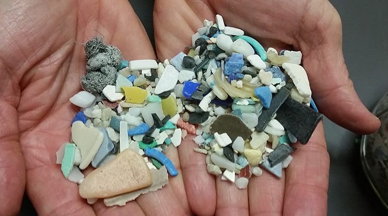 Examples of microplastics. Photo Credit: NOAA