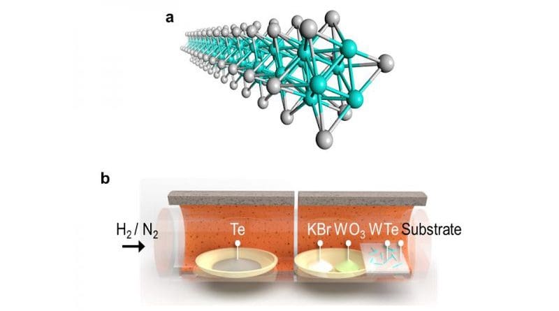 (a) Illustration of a TMC nanowire (b) Chemical vapor deposition. The ingredients are vaporized in a hydrogen/nitrogen atmosphere and allowed to deposit and self-assemble on a substrate. Reprinted with permission from Ref. 1 CREDIT Copyright 2020 American Chemical Society (ACS)