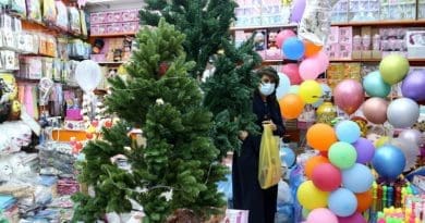 Christmas trees for sale in shop in Riyadh, Saudi Arabia. Photo Credit: Arab News