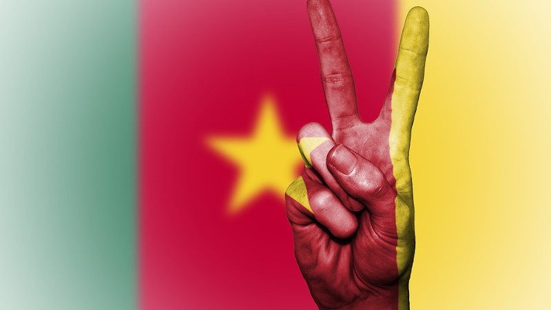 Cameroon Flag Peace National Country Cameroonian
