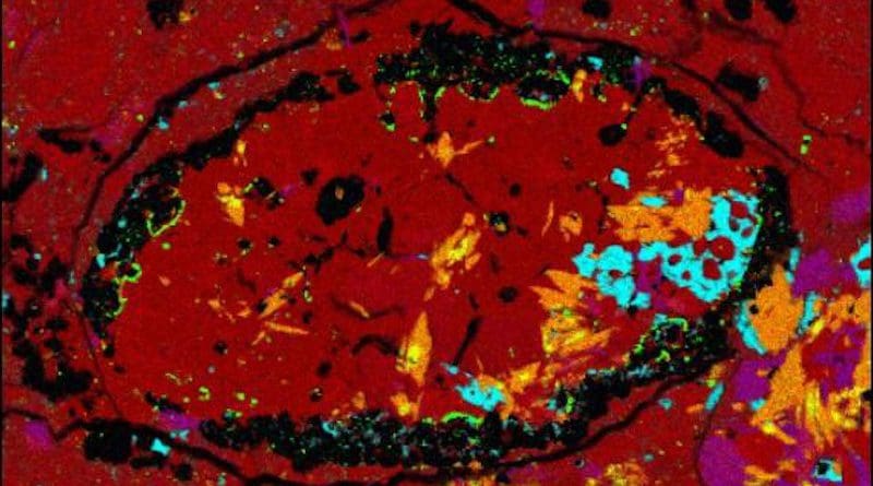 SwRI scientists studied the composition of a small shard of a meteoroid to determine that it likely originated from a previously unknown parent asteroid. This false-color micrograph of the meteoroid sample shows the unexpected amphibole crystals identified in orange. CREDIT NASA/USRA/Lunar and Planetary Institute