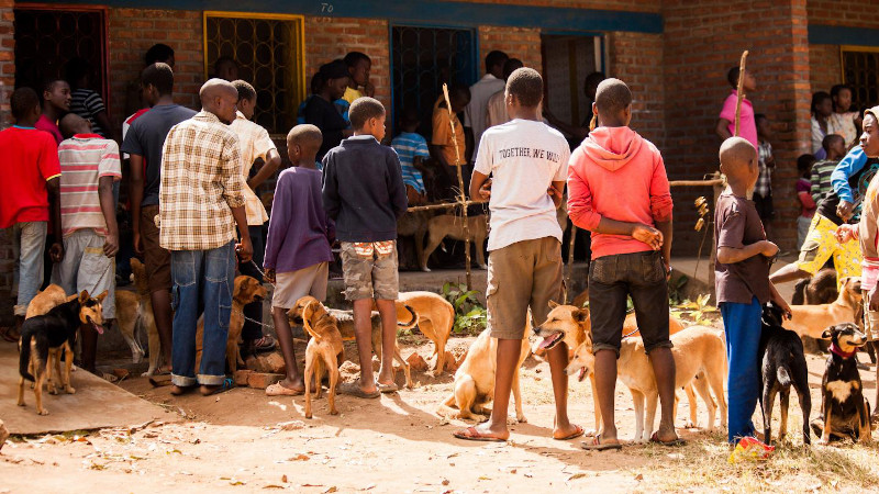 A vaccine station in Malawi - drop-in centre CREDIT Mission Rabies