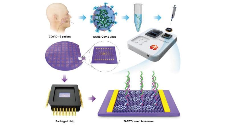 Top left: Extraction of viral RNA. Bottom left: From Si wafer to plug-and-play graphene packaged chips. Top right: Home-developed portable electrical detector. Bottom right: Illustration of the ss-DNA probe immobilization onto graphene using a typical PBASE linker, followed by hybridization with an RNA target. CREDIT @Science China Press