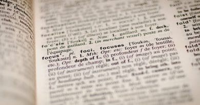 Dictionary Focus Book Word Text Education