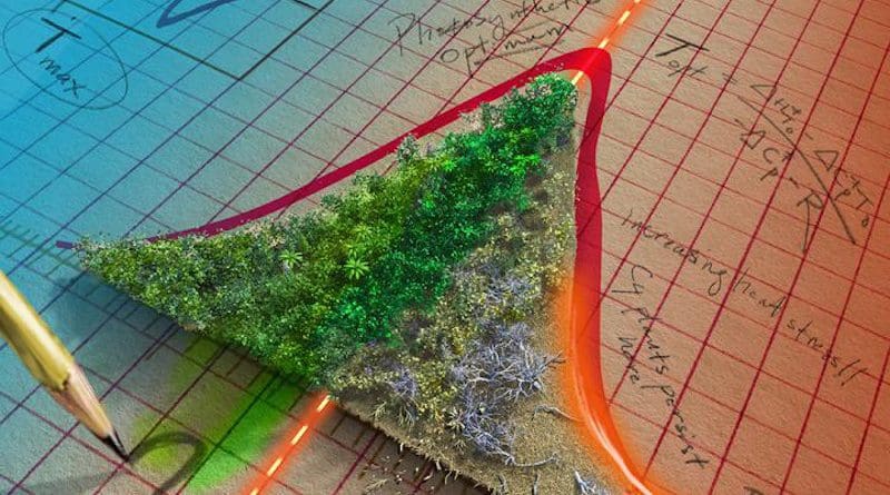 Graphic depicting the temperature tipping point at which Earth's plants will start decreasing the amount of human-caused carbon emissions they can absorb. CREDIT Victor O. Leshyk/Northern Arizona University