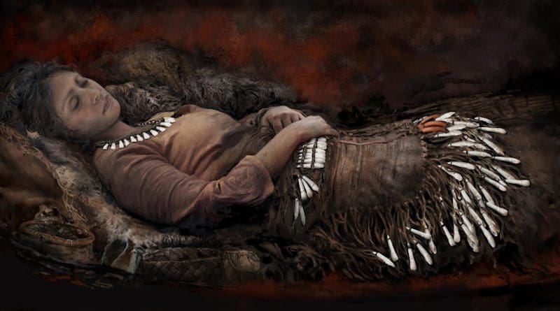 A total of 90 elk teeth were placed next to the hips and thighs of the body in grave 127, possibly attached to a garment resembling an apron. There were elk teeth pendants also on the waist. Red ochre had been sprinkled on top of the deceased. CREDIT Drawing by Tom Bjorklund