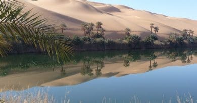Sahara Oasis Libya Lake Rest Mirroring Desert Nature