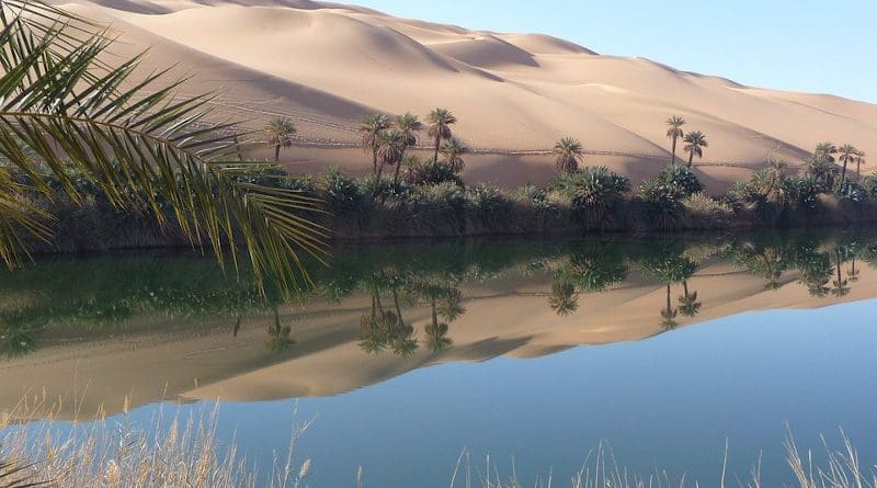 Sahara Oasis Libya Lake Rest Mirroring Desert Nature