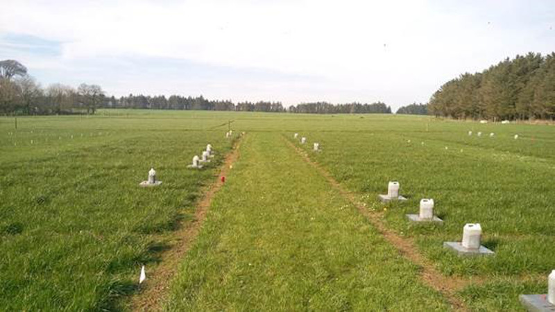 Experimental plots with greenhouse gas measurement chambers in Teagasc Johnstown Castle Research Centre.