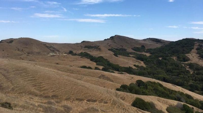 A dryland ecosystem in Northern California shows decreasing soil moisture but little changes in surface water availability. CREDIT Columbia Engineering