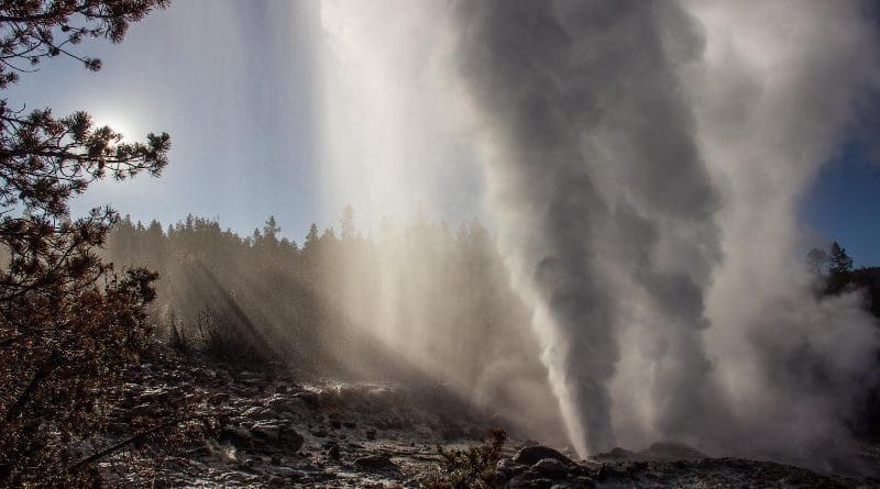 A 2019 eruption of Steamboat Geyser in the Norris Geyser Basin of Yellowstone National Park. The geyser's first documented activity was in 1878, and it has turned off and on sporadically since, once going for 50 years without erupting. In 2018 it reactivated after a three-and-a-half-year hiatus, for reasons that are still unclear. CREDIT UC Berkeley photo by Mara Reed