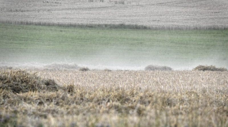 In the journal Climate of the Past, researchers from the Leibniz Institutes for the History and Culture of Eastern Europe (GWZO) and Tropospheric Research (TROPOS) write that the 1302-07 weather patterns display similarities to the 2018 weather anomaly, in which continental Europe experienced exceptional heat and drought. CREDIT ilo Arnhold, TROPOS