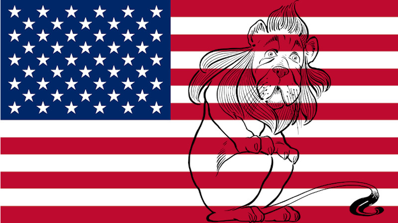 United States Flag Lion Coward