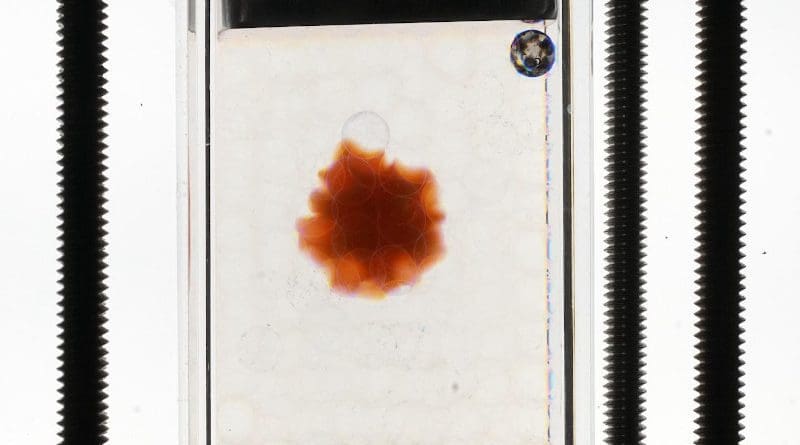 Princeton researchers used borosilicate glass beads as a substitute for soil to study the behavior of hydrogels acting as water reservoirs in farm fields. The researchers used an additive to correct for distortion from the beads allowing them to clearly observe the hydrogel. Photo by Datta et al/Princeton University CREDIT Datta et al/Princeton University