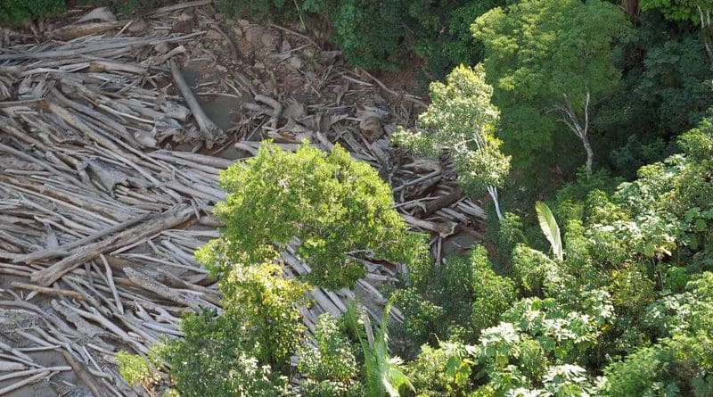 Deforestation in Brazil's Amazon forest. Photo Credit: Agencia Brasil/ABr