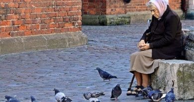 Elderly Old Lady Woman Feeding Pigeons Riga Latvia