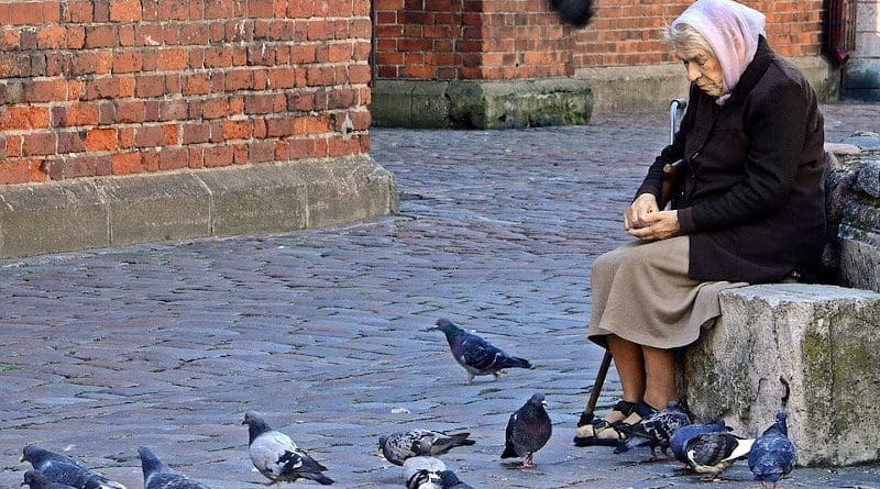Elderly Old Lady Woman Feeding Pigeons Riga Latvia