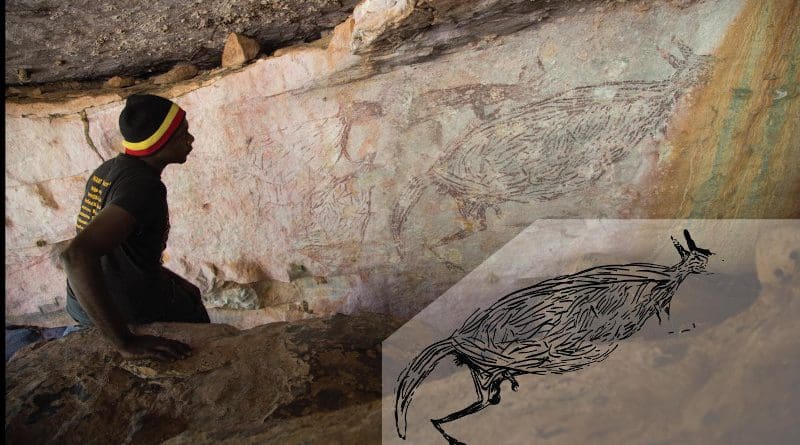 Traditional Owner Ian Waina inspecting a Naturalistic painting of a kangaroo, determined to be more than 12,700 years old based on the age of overlying mud wasp nests. The inset is an illustration of the painting above it. CREDIT Photo: Peter Veth and the Balanggarra Aboriginal Corporation, Illustration: Pauline Heaney