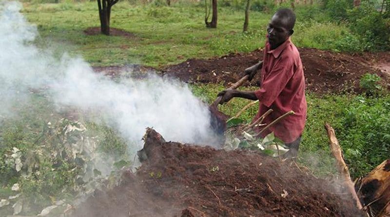 Intentionally set fires are a major source of air pollution in Africa, but they are declining in at least part of the continent. Here, a Kenyan farmer manages a fire. CREDIT Kyu Lee/Earth Institute, Columbia University