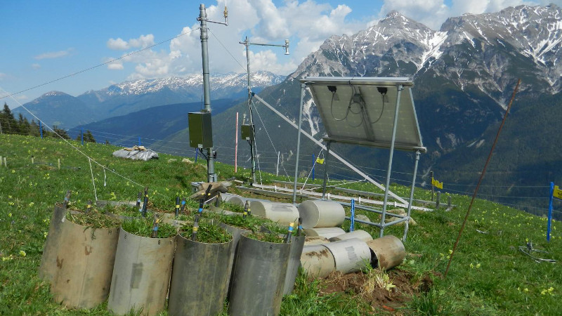 The 16 grassland monoliths come from the Kaserstattalm in the Tyrolean Stubaital - a site for long-term ecosystem research. CREDIT Eliza Harris