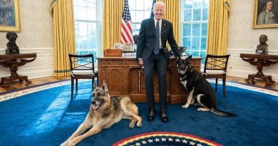 President Joe Biden poses with the Biden family dogs Champ and Major in the Oval Office of the White House. (Official White House Photo by Adam Schultz)