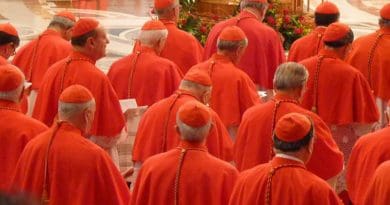 Cardinals gathered in St. Peter's Basilica for a consistory, Nov. 4, 2012. / Lewis Ashton Glancy/CNA.
