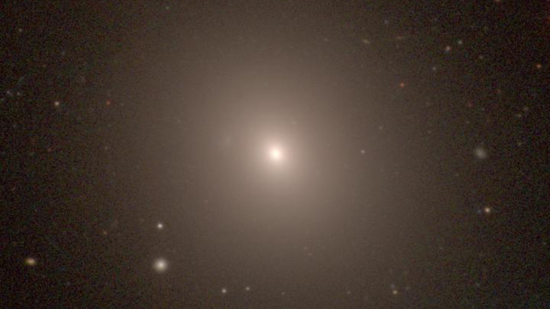 NGC 1453, a giant elliptical galaxy in the constellation Eridanus, was one of 63 galaxies used to calculate the expansion rate of the local universe. Last year, the MASSIVE survey team determined that the galaxy is located 166 million light years from Earth and has a black hole at its center with a mass nearly 3 billion times that of the sun. CREDIT Photo courtesy of the Carnegie-Irvine Galaxy Survey