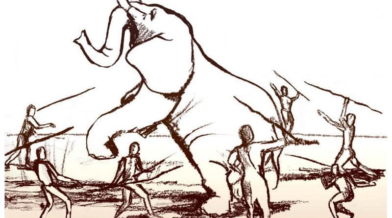 Elephant hunting illustrations CREDIT Dana Ackerfeld