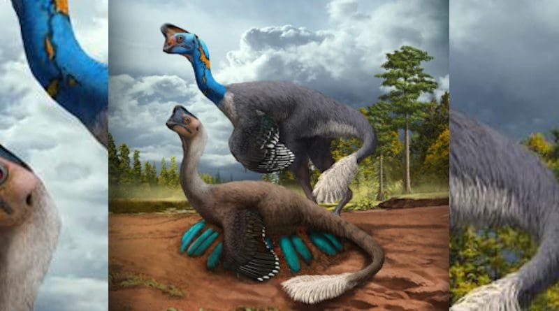 An attentive oviraptorid theropod dinosaur broods its nest of blue-green eggs while its mate looks on in what is now Jiangxi Province of southern China some 70 million years ago. Artwork by Zhao Chuang CREDIT © Zhao Chuang