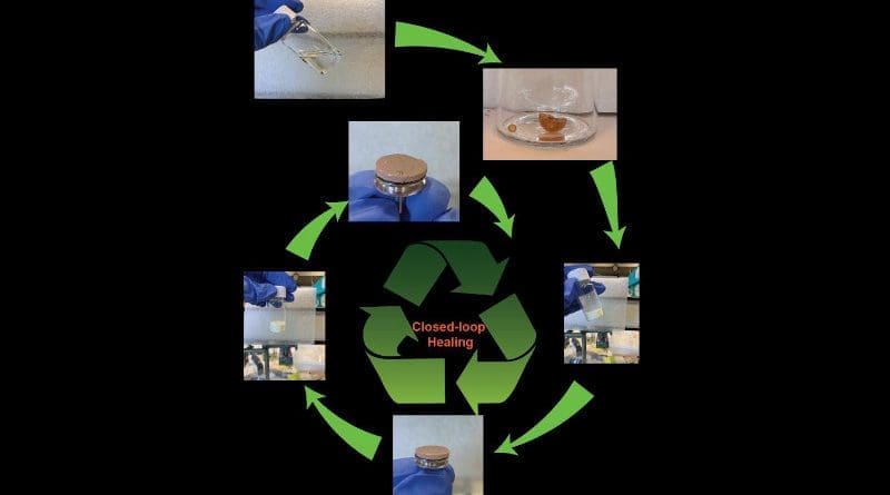 The new, vitrimer membrane is made by pressing and sintering of polymers from the natural monomer malic acid. This membrane can be recycled by ball milling and subsequent pressing and sintering. CREDIT Chongnan Ye, University of Groningen