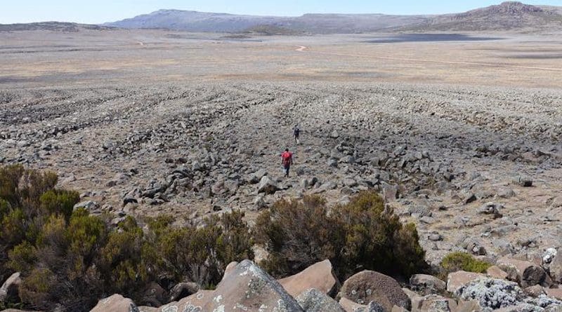 The up to 200 m long, 15 m wide and 2 m deep sorted stone strips on the southern Sanetti Plateau (ca. 3,900 m a.s.l.) were probably formed during the last glacial period under much cooler conditions and can best be explained by a natural sorting of the stones in the course of the cyclic freezing and thawing of the ground. CREDIT Heinz Veit