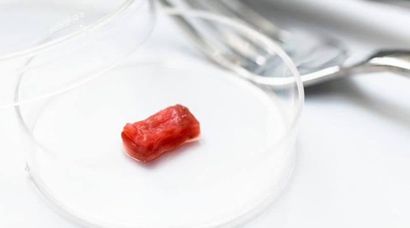 Researchers at The University of Tokyo develop a method of culturing meat in the laboratory in the form of millimeter-scale contractile beef muscle that closely simulates steak meat CREDIT Institute of Industrial Science, the University of Tokyo