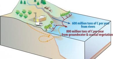 Schematic figure showing the new estimates of river, groundwater and coastal ecosystem carbon transport from land to ocean. CREDIT Eun Young Kwon