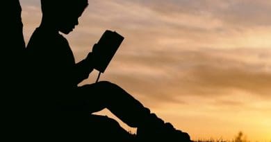 People Man Kid Boy Child Read Book Sunset